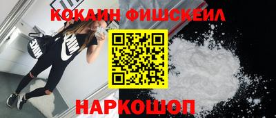 гидра Заводоуковск