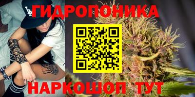 гидра Заводоуковск