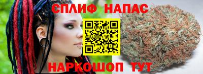 гидра Заводоуковск