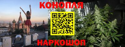 гидра Заводоуковск