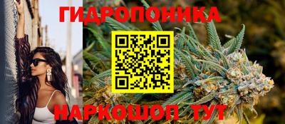 гидра Заводоуковск