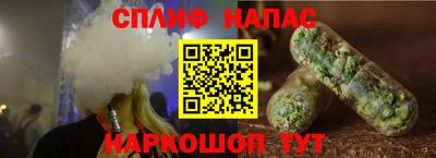 гидра Заводоуковск