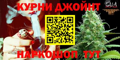 шишки Жуковский