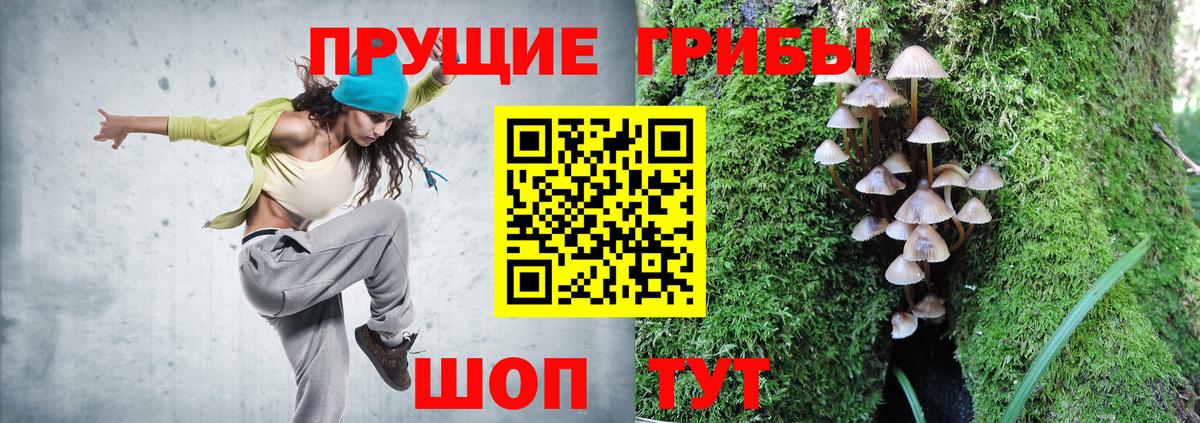 Псилоцибиновые грибы Psilocybe Лобня